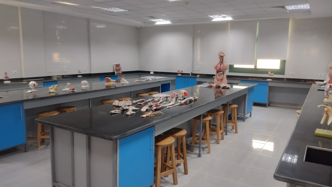 Delta University For Science And Technology